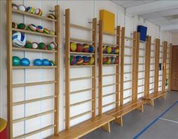 Физкультурный зал, приспособлен для занятий с детьми с ОВЗ